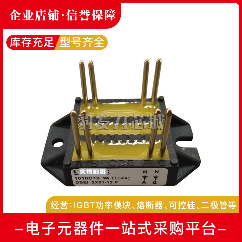 DSEI2X61-06A/12A DSEI2X101-06A/12A BYT260/261PIV800 功率模块