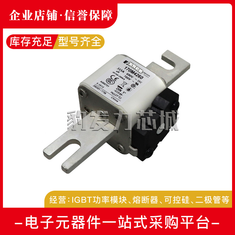 170M4262/4263/4264/4265/4266/4267/4268/4269全新熔断器现货