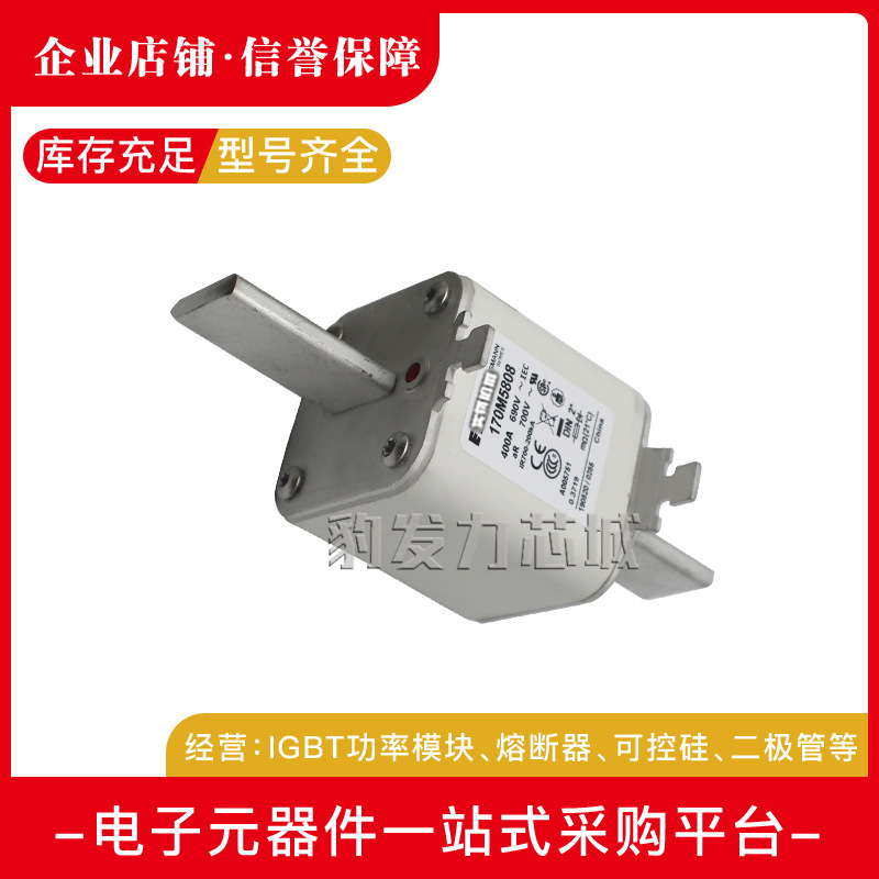 170M5458 170M5459 170M5460 170M5461 170M5462 170M5463熔断器